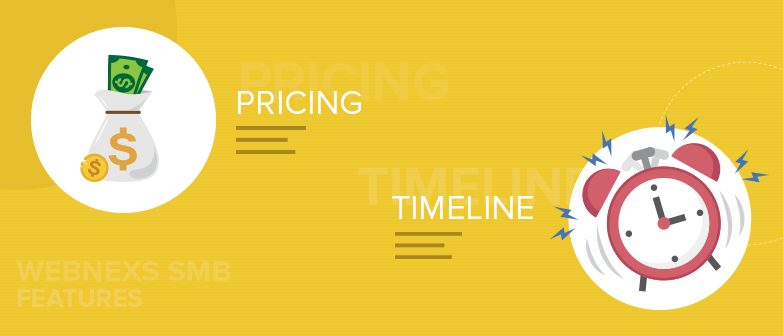 What are all the Pricing and Timeline features of SMB E commerce business at