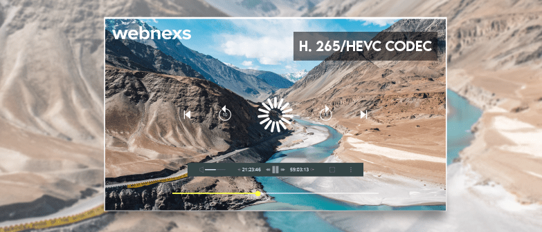 H.265 Codec: How To Choose Best Compression Standard For VOD & Live Streaming