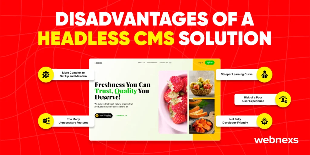 know more about the disadvantages of a headless cms solution