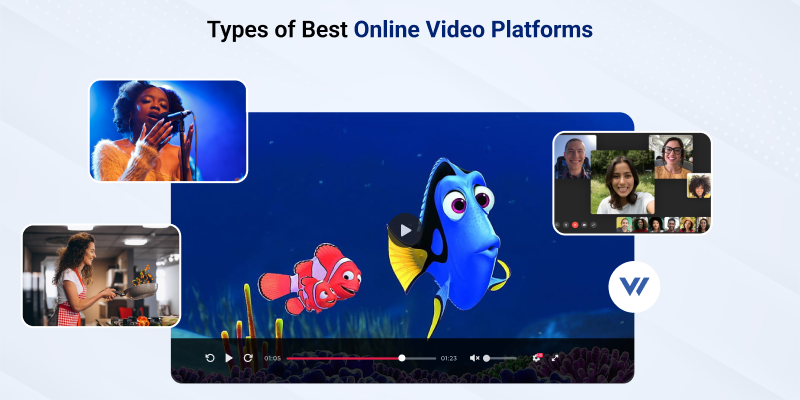 Types of Best Online Video Platforms